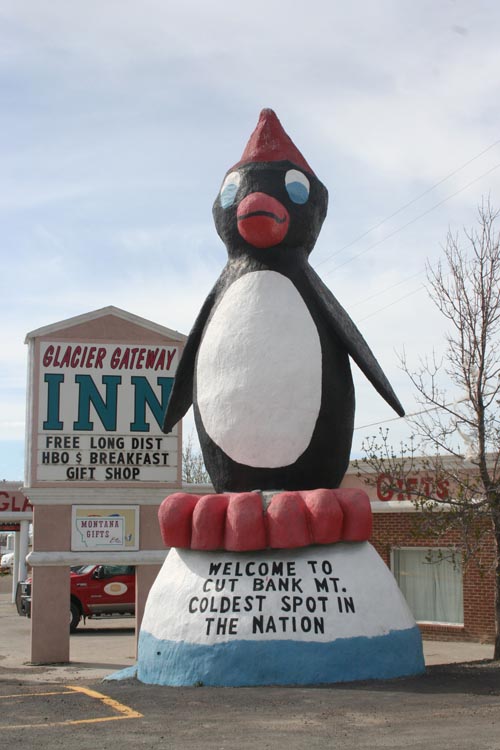 penguin